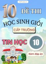Tuyển tập 10 Đề thi HSG cấp Trường môn Tin học 10 (Kèm đáp án)